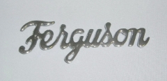 Ferguson Schriftzug