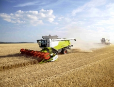 Preview: Druckluft-Kamm® - L= 60cm - rot