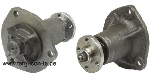 Wasserpumpe mit Narbe