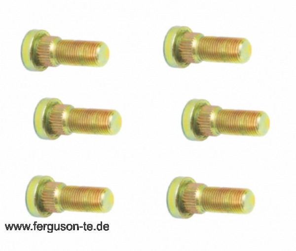 Radbolzen Satz (6 Stück) vorne