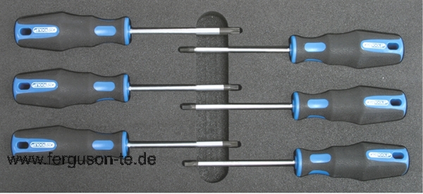 Schraubendreher Einlage Torx