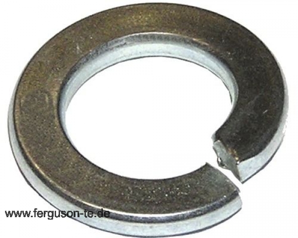 Springring 1"