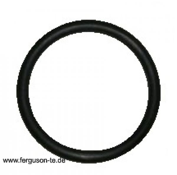 Zapfwelle O-Ring