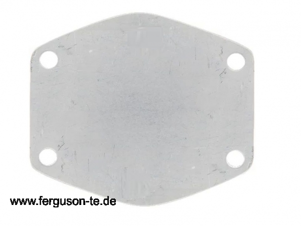 Dichtplatte für Wasserpumpe - Edelstahl