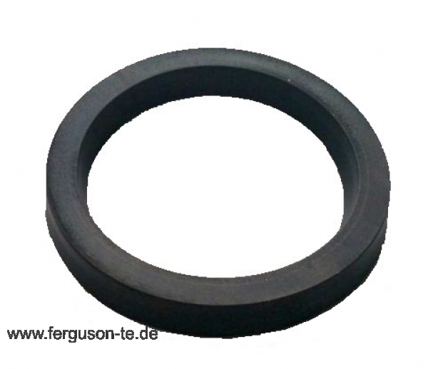 Dichtring Hubzylinder