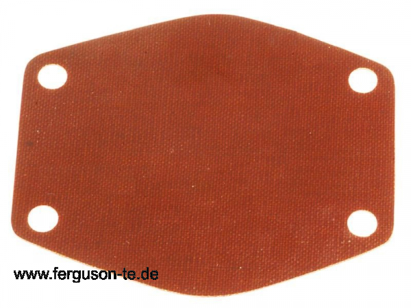 Dichtplatte für Wasserpumpe - Fiberglas